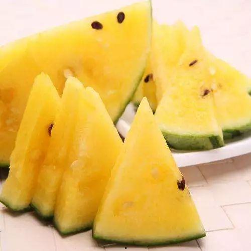 吃瓜网在线吃瓜免费,在线免费吃瓜，畅享娱乐盛宴